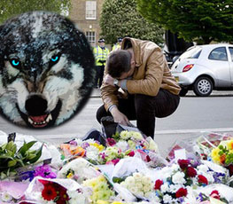 血案頻發(fā) "獨(dú)狼"緣何兇猛？